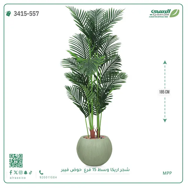 شجرة أريكا صناعية 15 فرع (ارتفاع 185 سم) حوض فيبر 