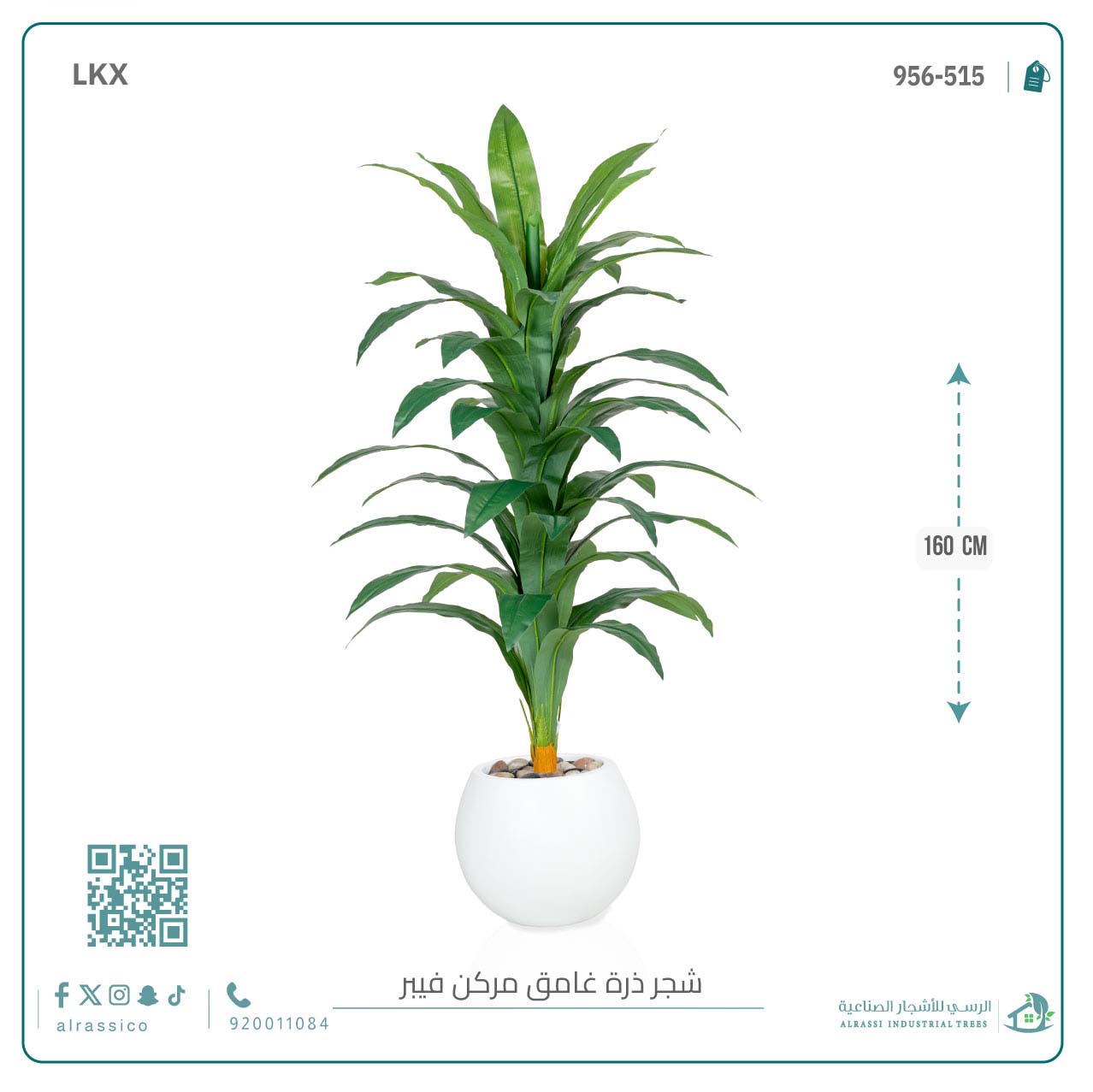  شجرة نبات الذرة (دراسينا) الاصطناعية بمركن فيبر  