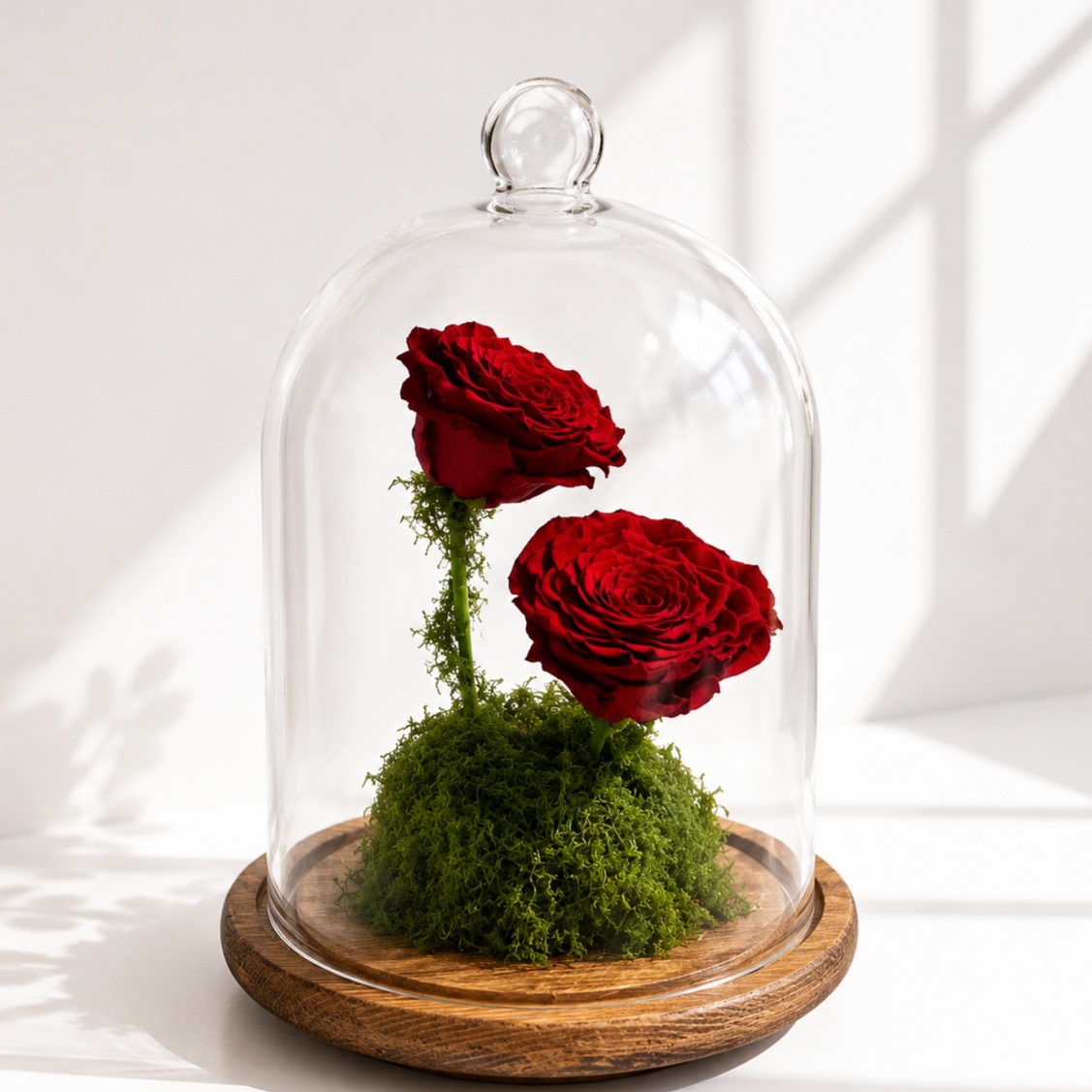  Elegant glass dome featuring two preserved red roses on a wooden base with natural preserved moss.