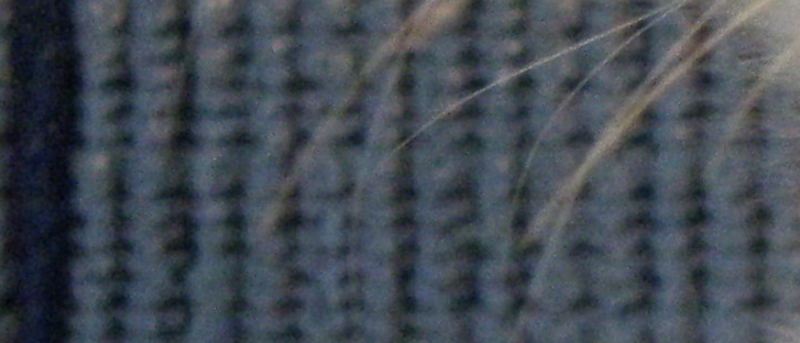 First Category Image Description