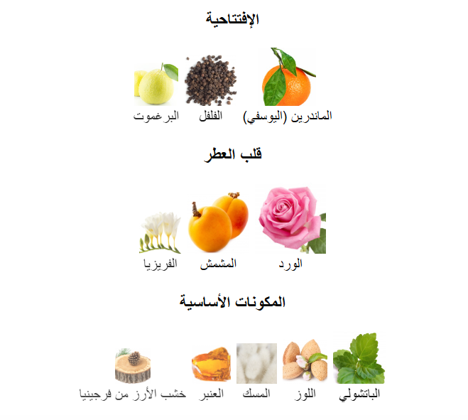 عطر ايتن اجنر بور فيم من اجنر او دو بارفيوم - 100 مل