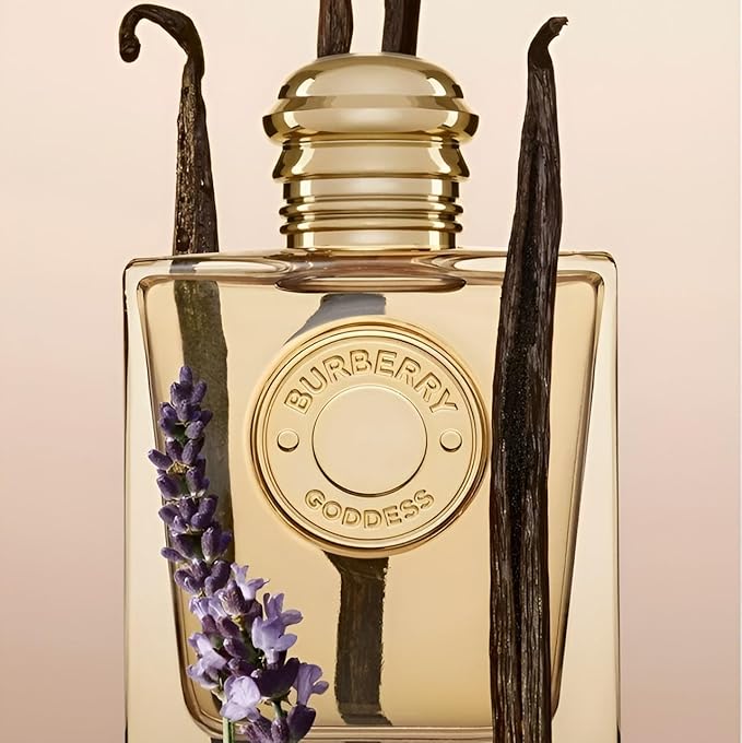 عطر بربري جوديس النسائي