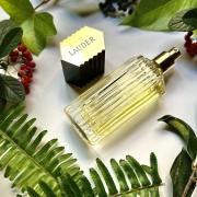 عطر استي لودر الرجالي او دو كوليجن - 100مل