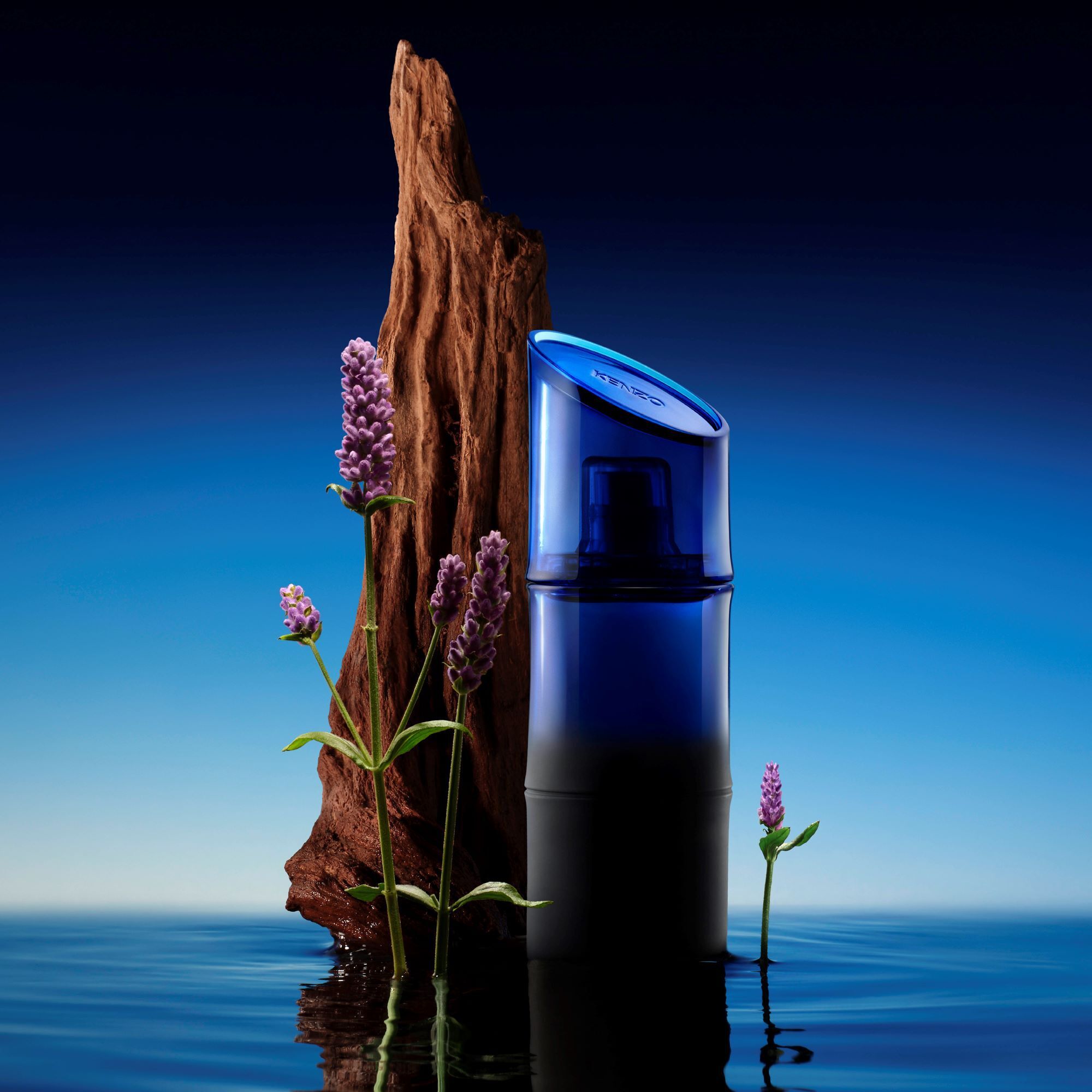 عطر كنزو هوم او دو بارفيوم