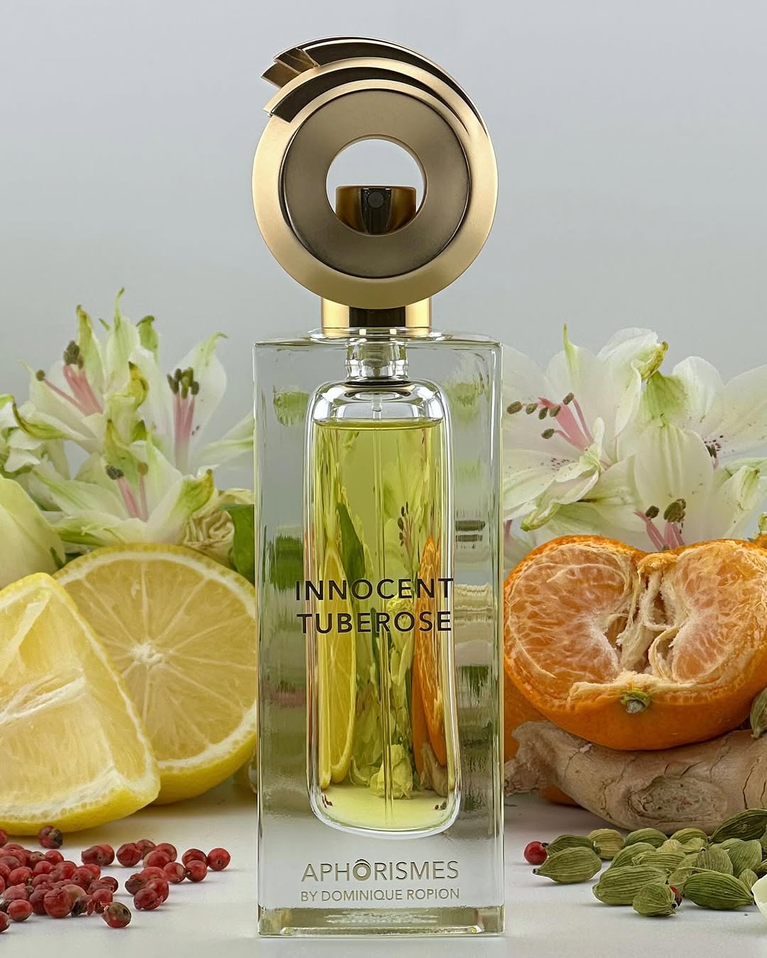 عطر مسك الروم البريئ Aphorismes دومينيك روبيون -50مل