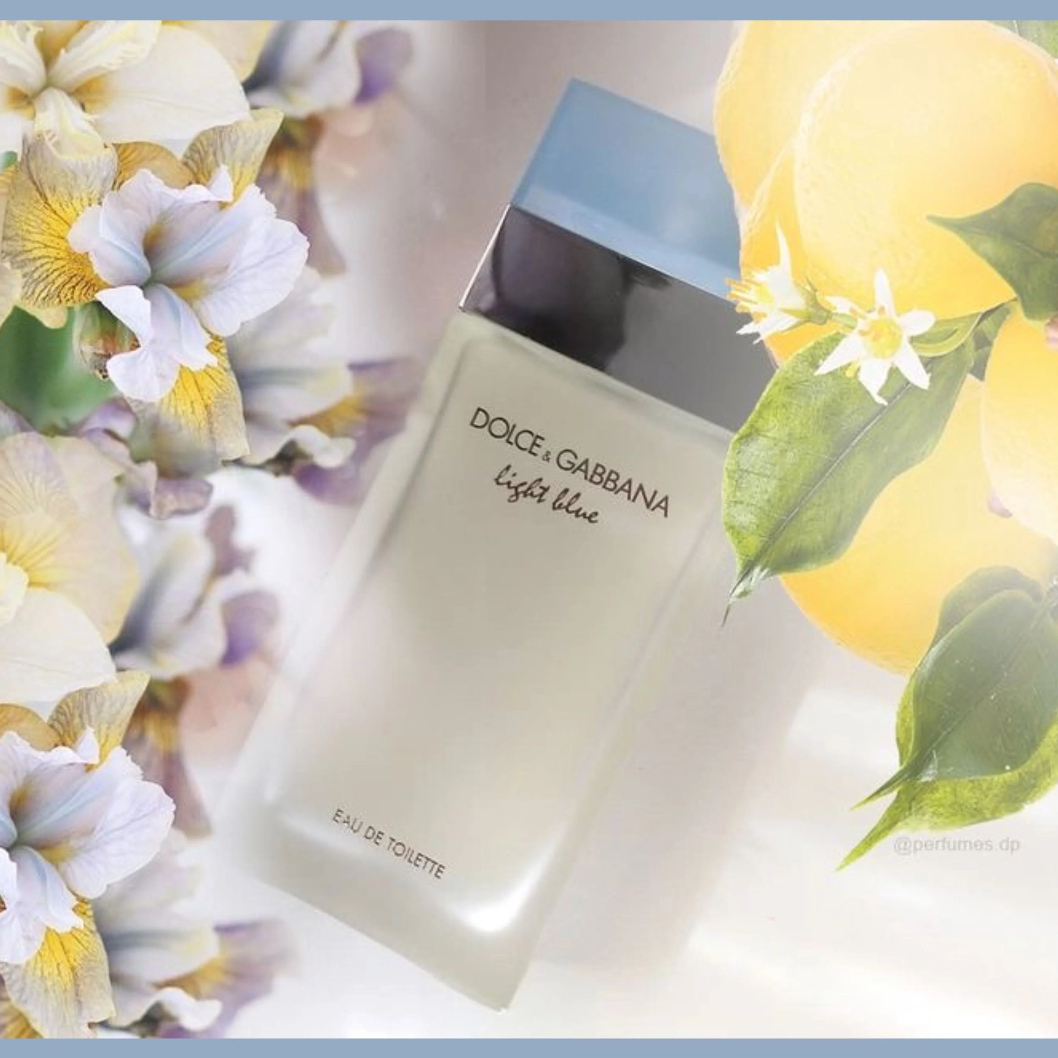 عطر دولتشي جابانا لايت بلو النسائي او دو تواليت 100مل