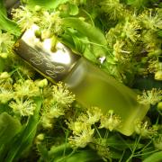 عطر استي لودر برايفت كولكشن (كلاسيك) او دو بارفيوم - 50مل