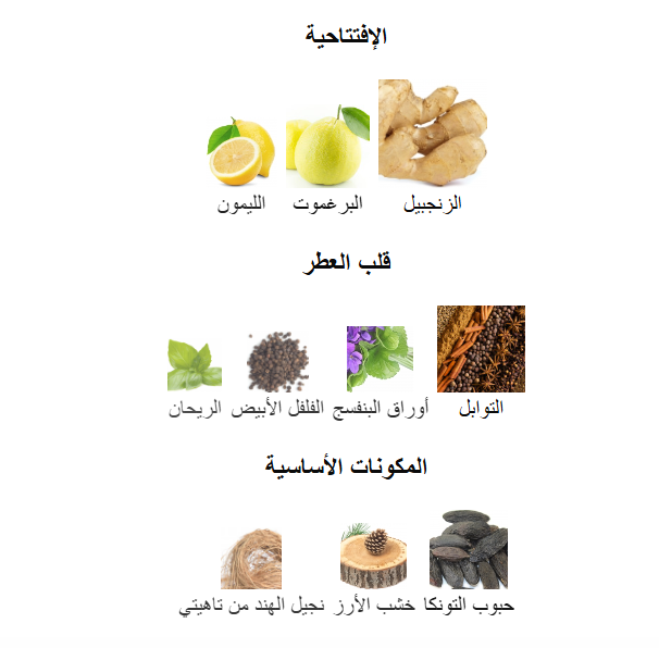 عطر لاهوم او دو تواليت للرجال من ايف سان لوران -100مل