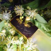 عطر استي لودر برايفت كولكشن (كلاسيك) او دو بارفيوم - 50مل