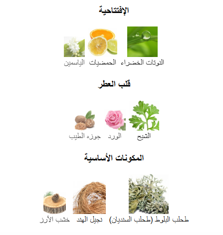 عطر استي لودر الياج او دو بارفيوم -50مل