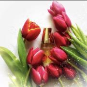 عطر بيوتيفل من استي لودر -75 مل