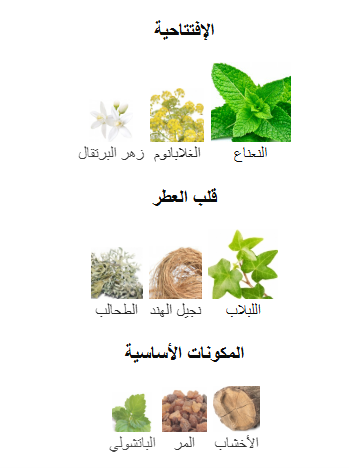 عطر امواج بيتش هات الرجالي او دو بارفيوم -100مل