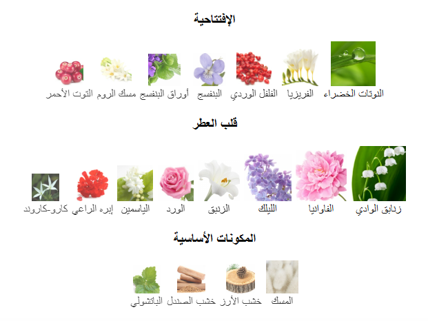 عطر بليجرز من استي لاودر للنساء – او دي بارفان- 50 مل