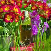 عطر بيوتيفل من استي لودر -75 مل