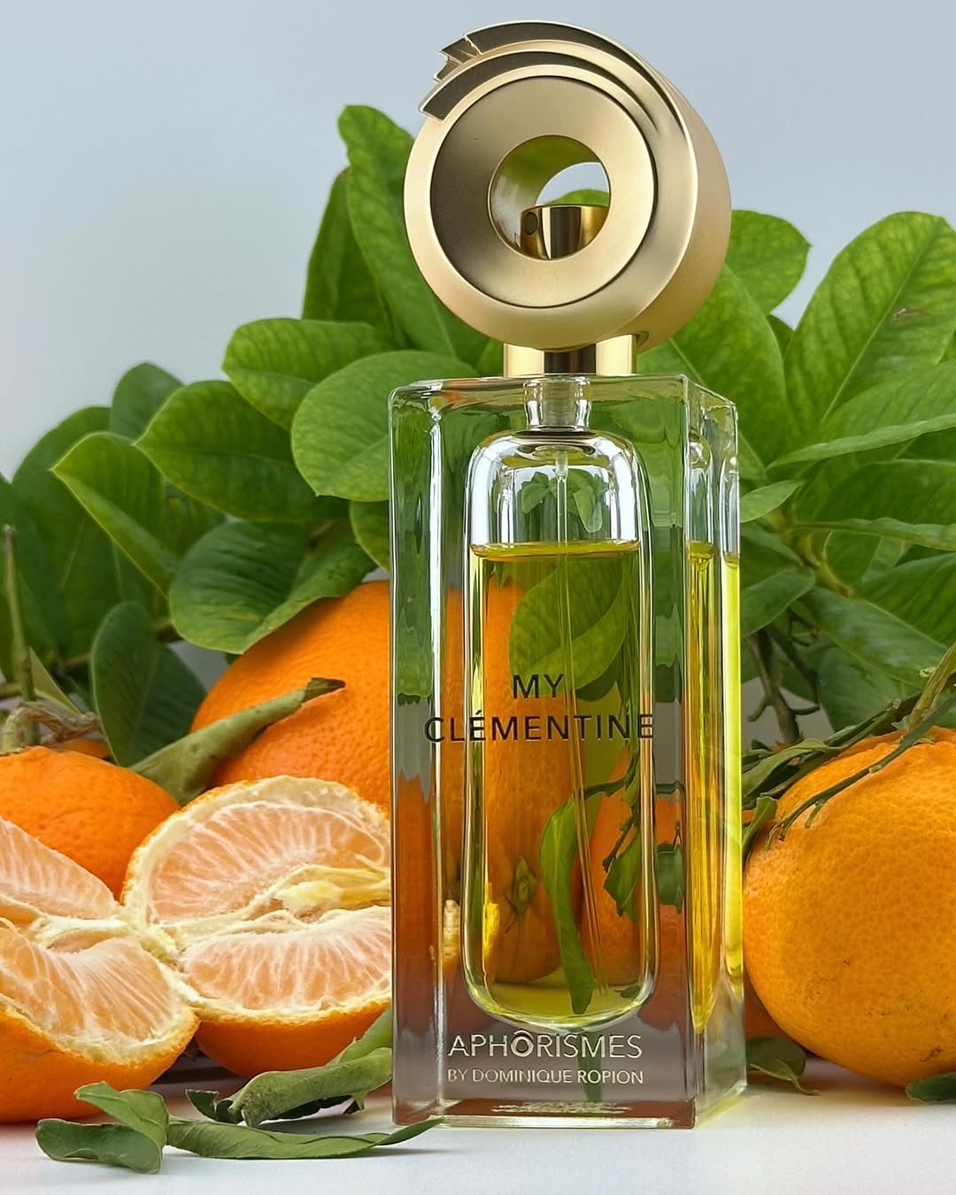 عطر Aphorismes ماي كلمنتاين من دومينيك روبيون-50مل