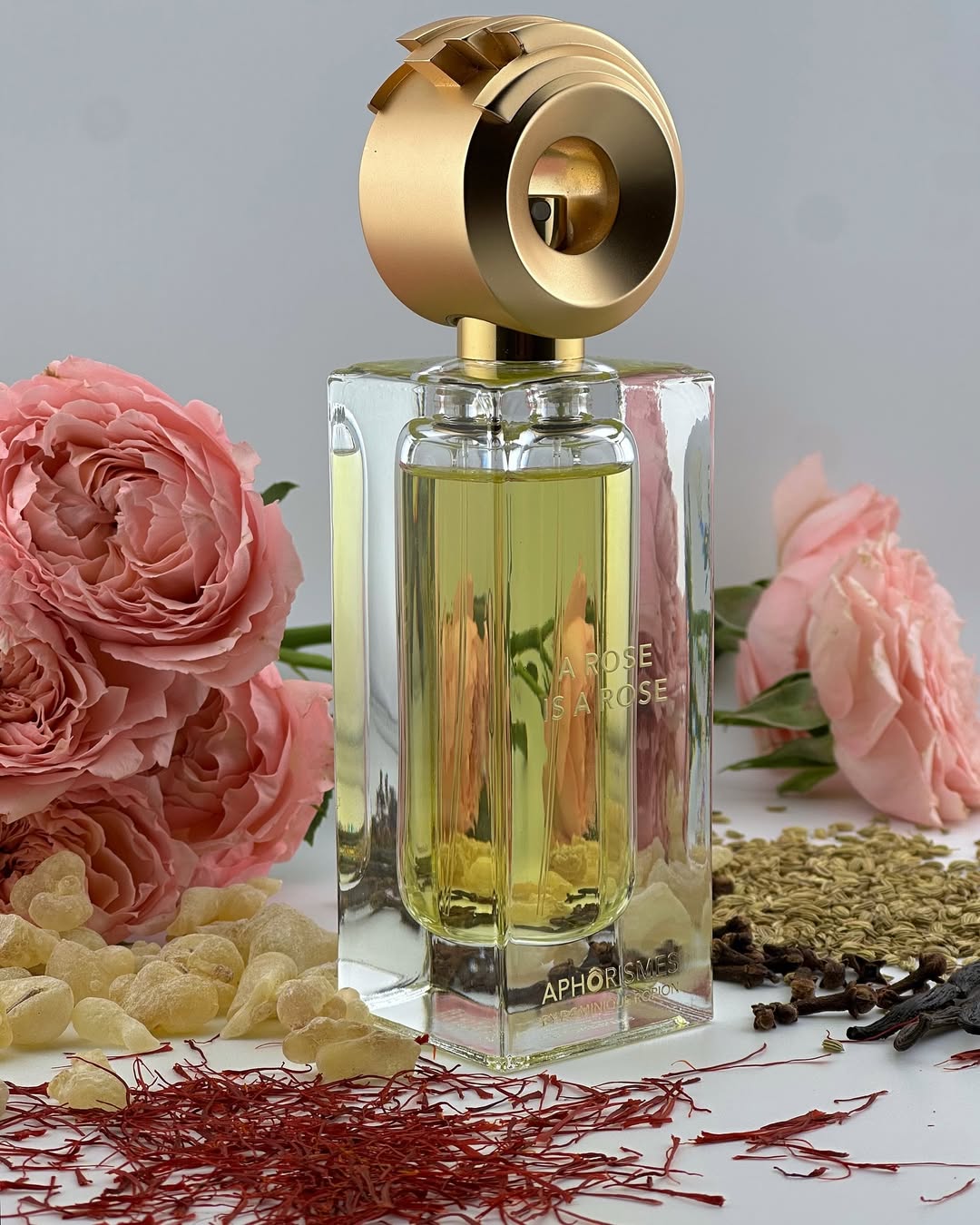 A Rose is a Rose Aphorismes by Dominique Ropion- 50ML