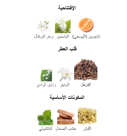 	إستي لودر سينابار اي دي بيرفيوم لنساء 50 مل