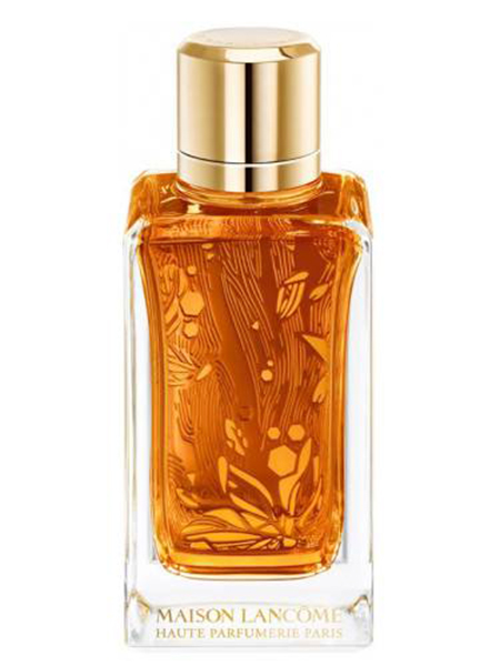 عطر لانكوم عود امبرويسي او دو بارفيوم 100 مل