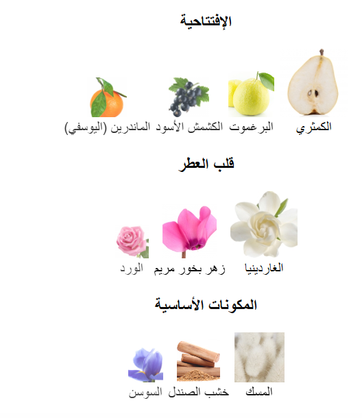 عطر باسنجر استي ديبونت النسائي او دو بارفيوم