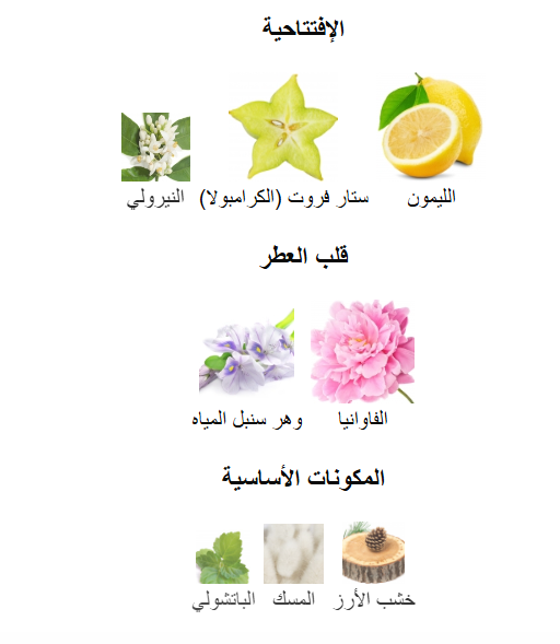 اس تي دوبوت اسنس بيور فيمي - 100مل