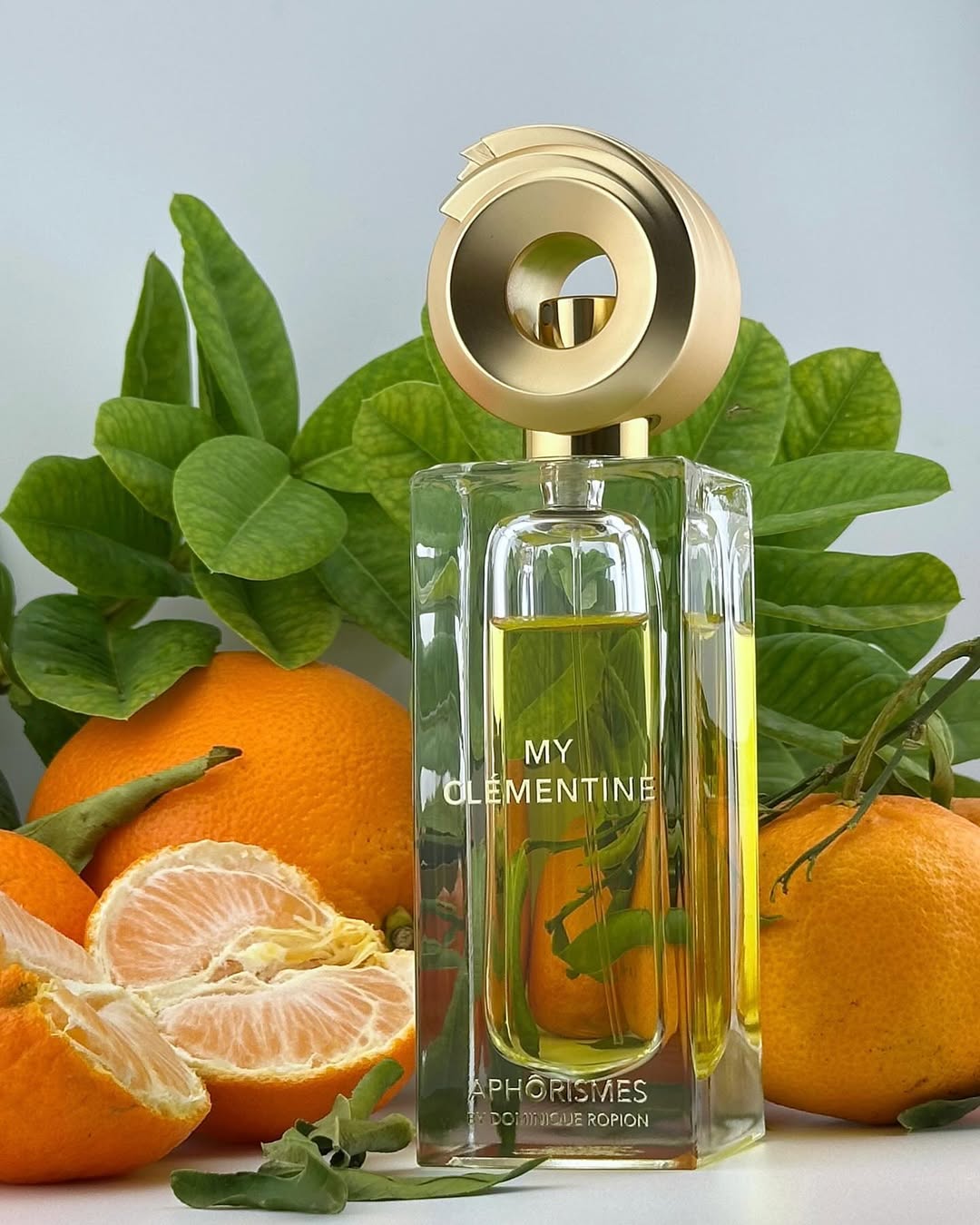 عطر Aphorismes ماي كلمنتاين من دومينيك روبيون-50مل