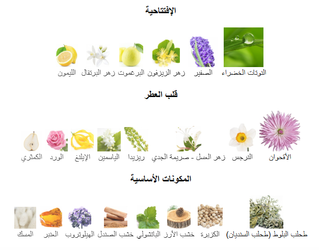 عطر استي لودر برايفت كولكشن (كلاسيك) او دو بارفيوم - 50مل