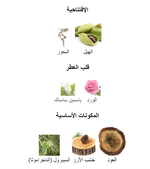 عطر ايف سان لوران سبلينديد وود Cardamome Cedre اودي برفيوم