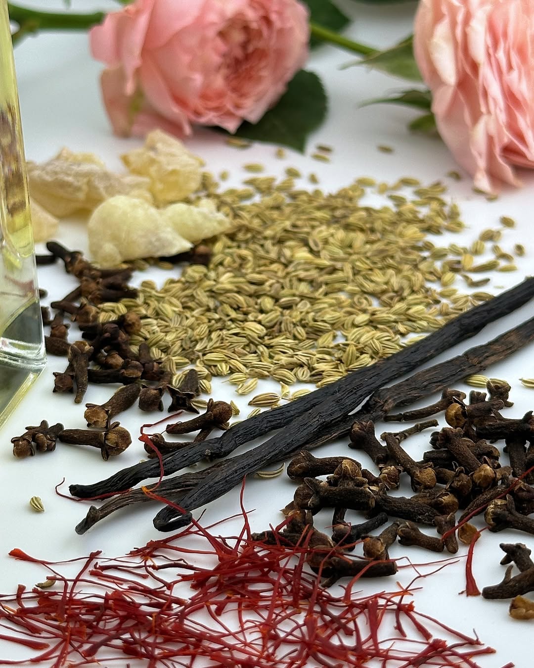 عطر الوردة هي الوردة –  افوريزم دومينيك روبيون – 50 مل