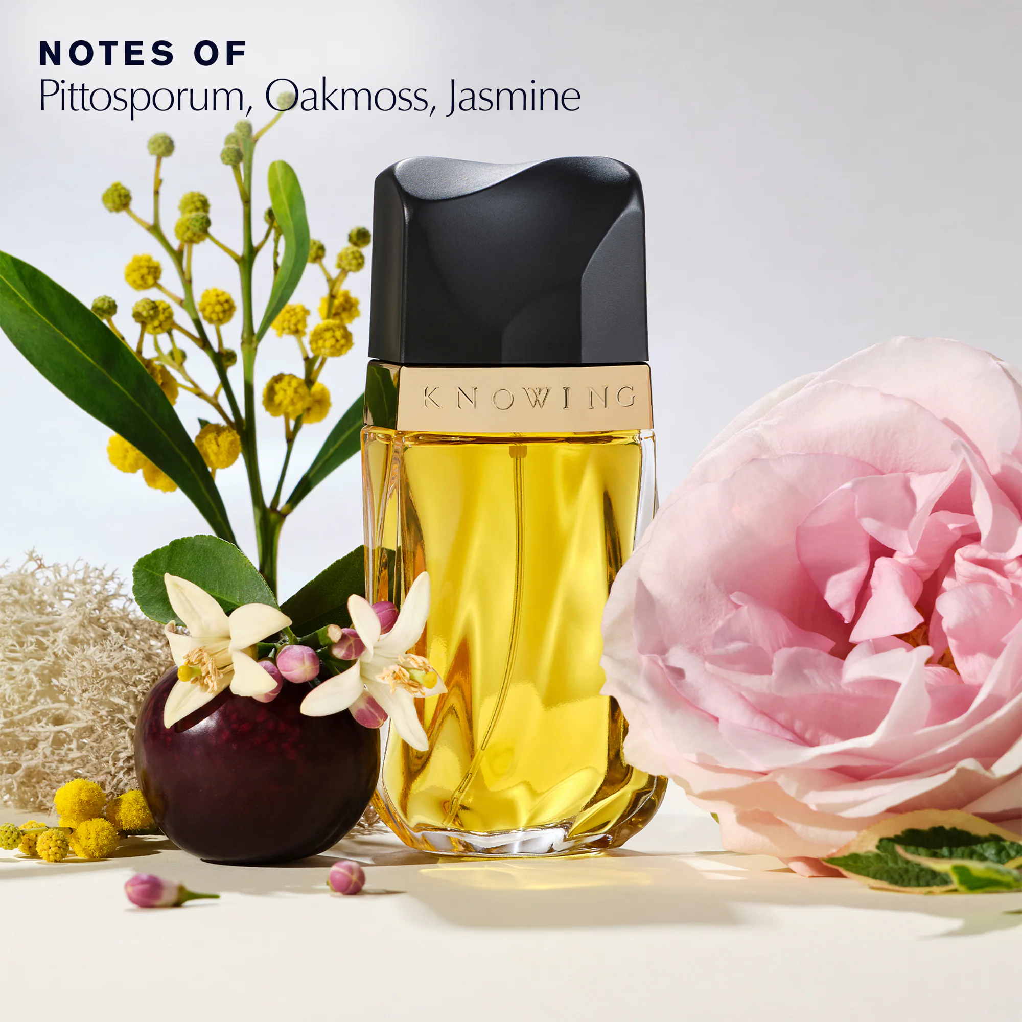 عطر استي لودر نوينج او دو بارفيوم 75مل