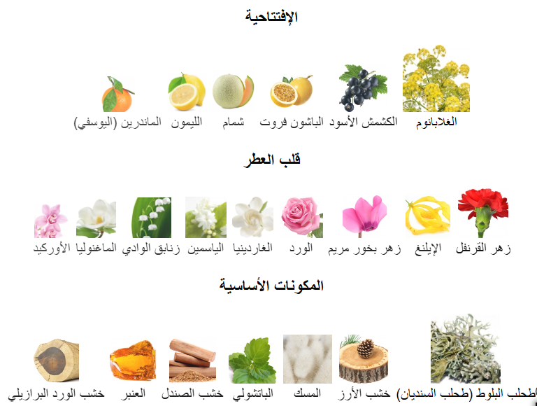 عطر اس تي ديبون انتنس بور فيوم للنساء -50 مل