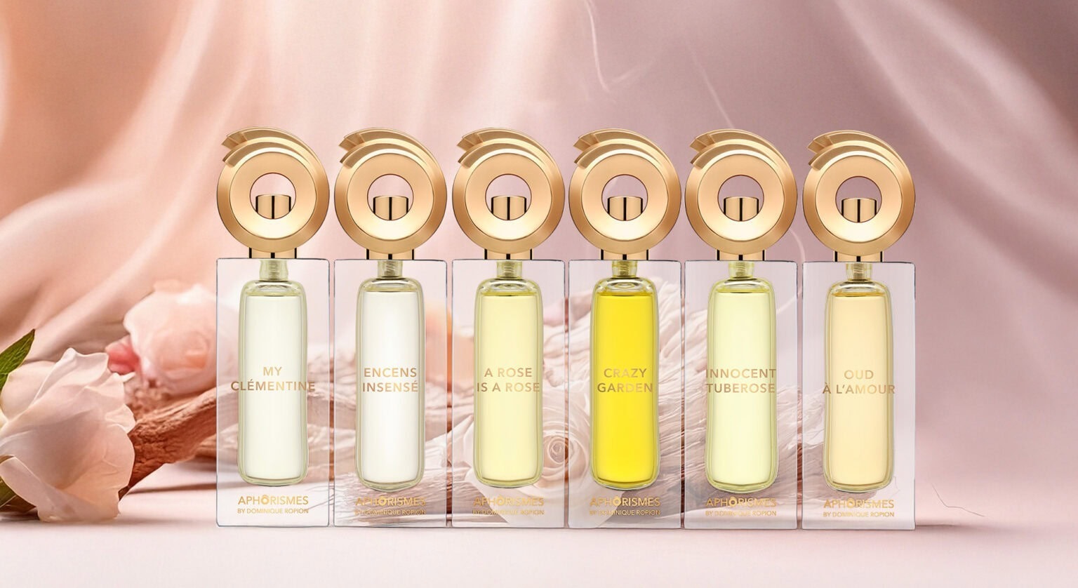 Aphorismes collection by Dominique Ropion