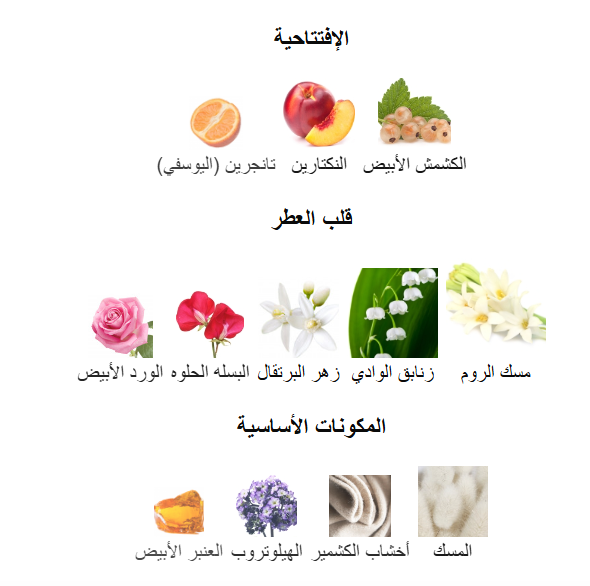 	بلانك من استي ديبون للنساء - 100مل