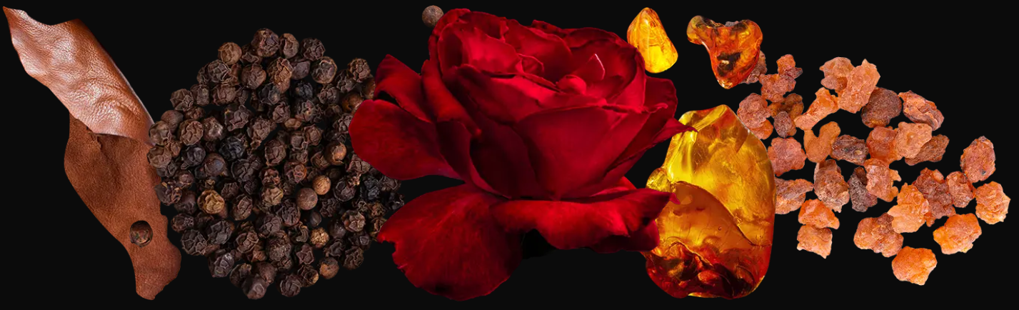 مكونات عطر رين دي سبأ