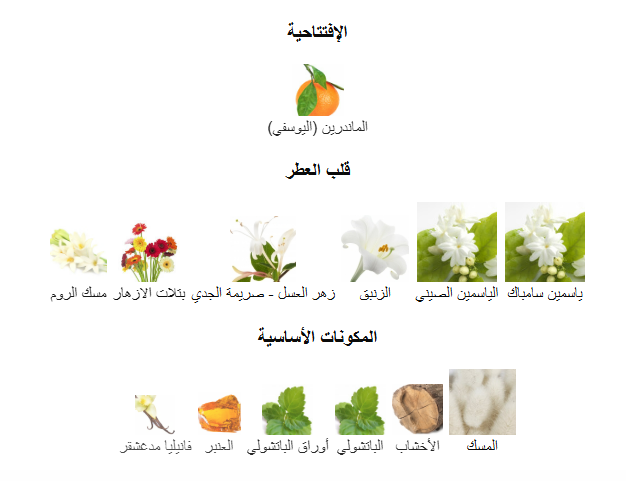 عطر استي لودر مودرن ميوز او دو بارفيوم - 100مل