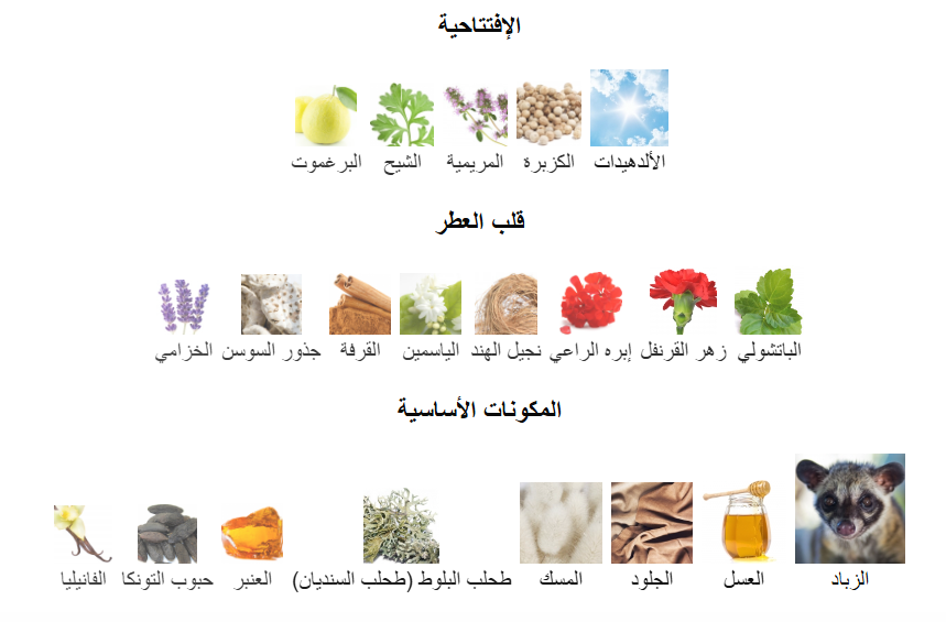 عطر ايف سان لوران كوروس او دو تواليت - 100مل