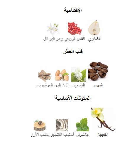 	عطر ايف سان لوران بلاك اوبيوم او دو بارفيوم 90مل