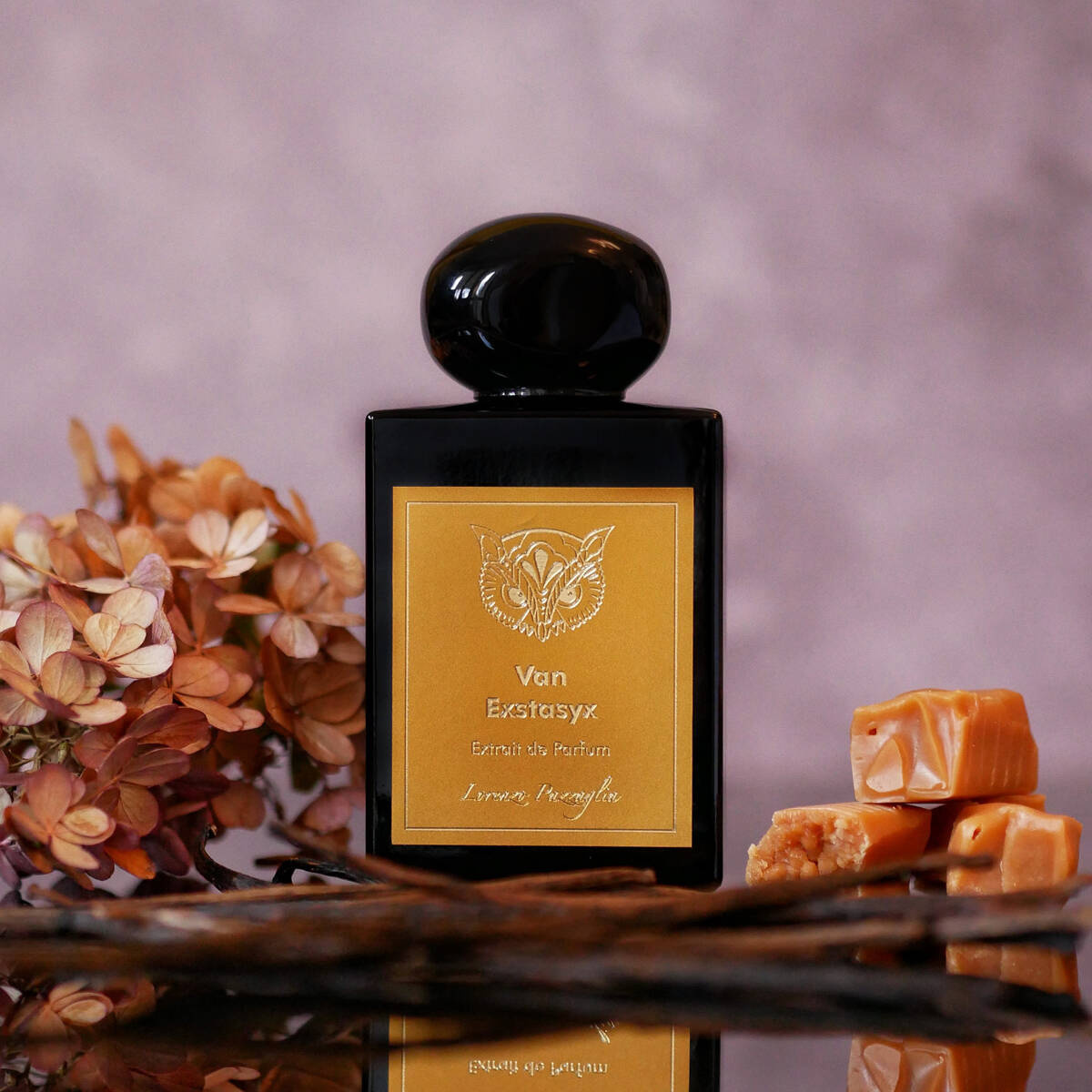 عطر لورينزو بازاجليا فان اكستاسيكس اكسترايت دو بارفيوم 50مل