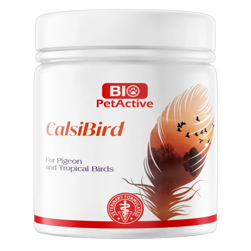 Bio PetActive Calsi Bird Supplement for Birds 200g