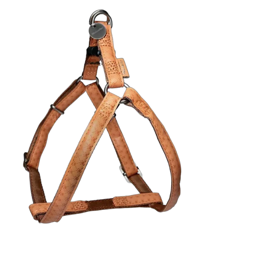 Zolux Mac Leather Harness 20Mm Yellow