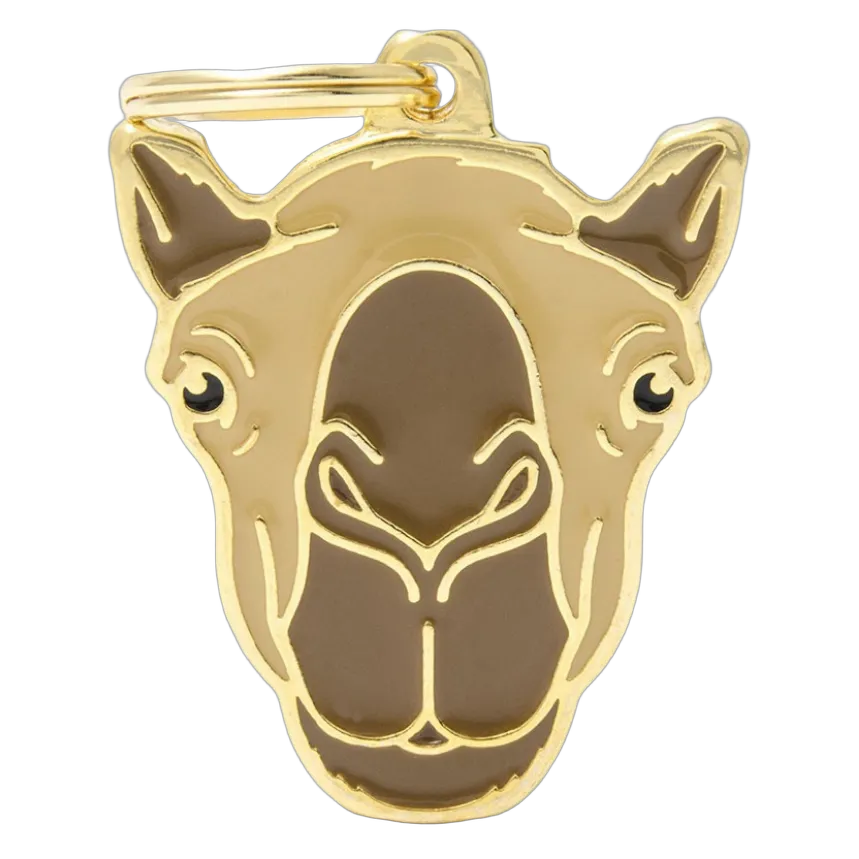 MF Tags CAMEL