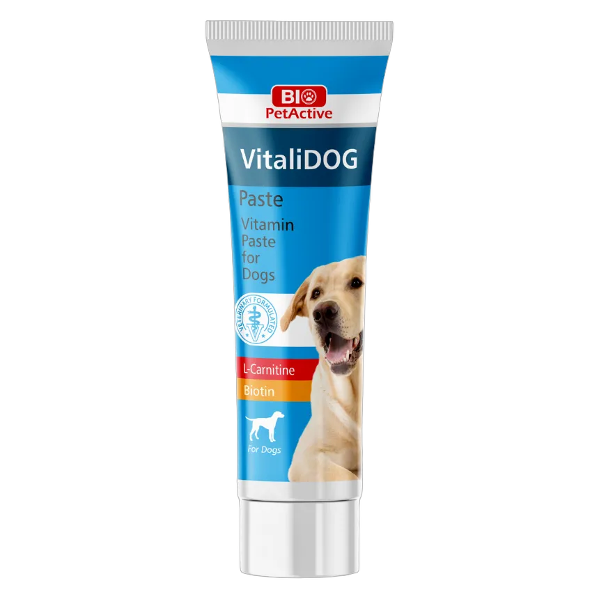 Bio PetActive VitaliDog Multivitamin Paste 100ml