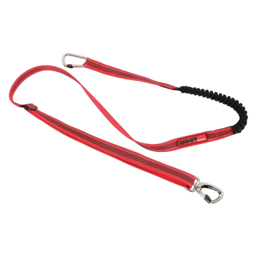 Zolux Moov Jogging Leash Vtt