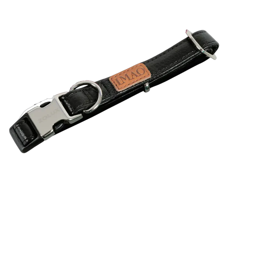 Zolux Piccadilly Collar 15Mm