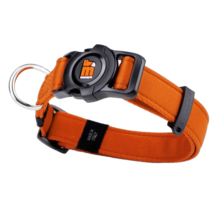 MF Memo Pet Collar Orange