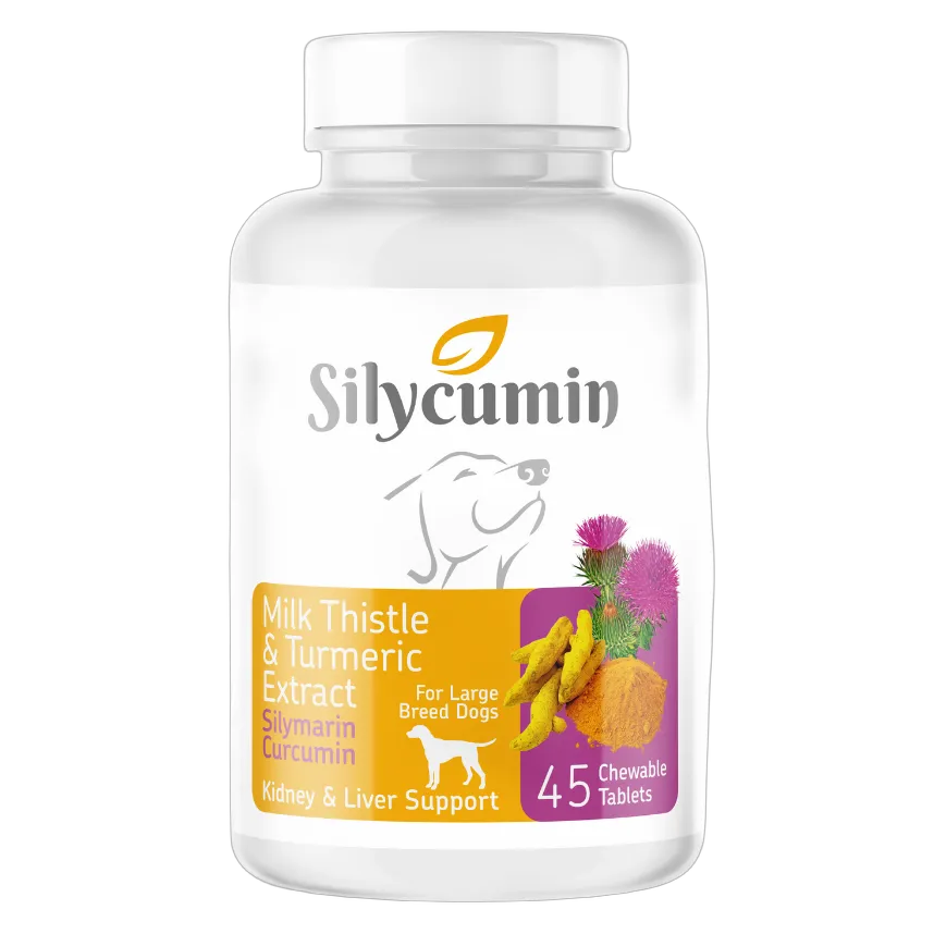 Bio PetActive Silycumin Liver & Kidney Support for Large Breed Dogs 45 Tablets 67.5g
