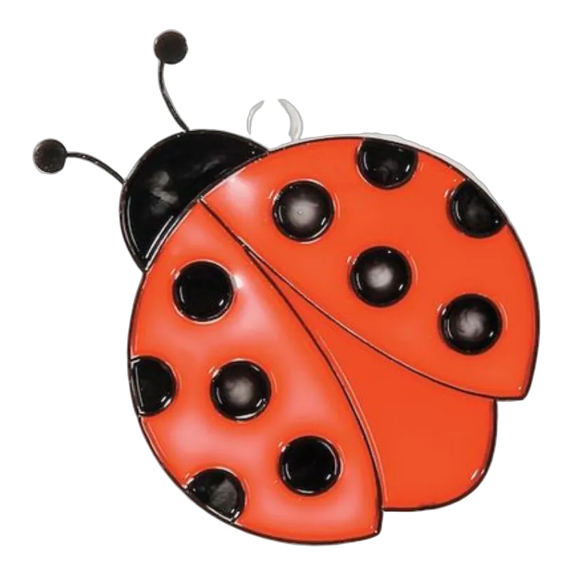 MF Tags LADYBUG