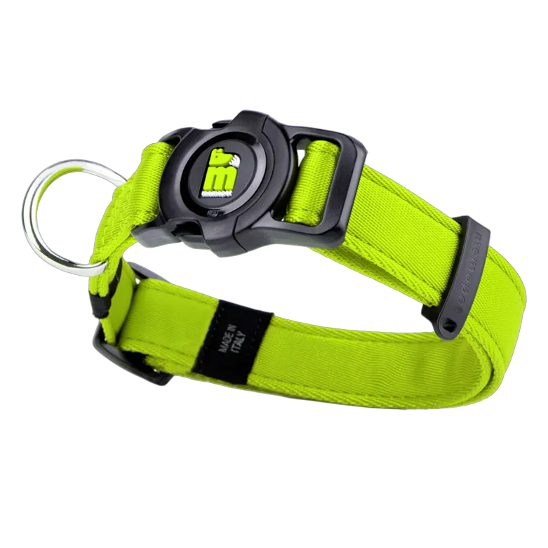 MF Memo Pet Collar Green