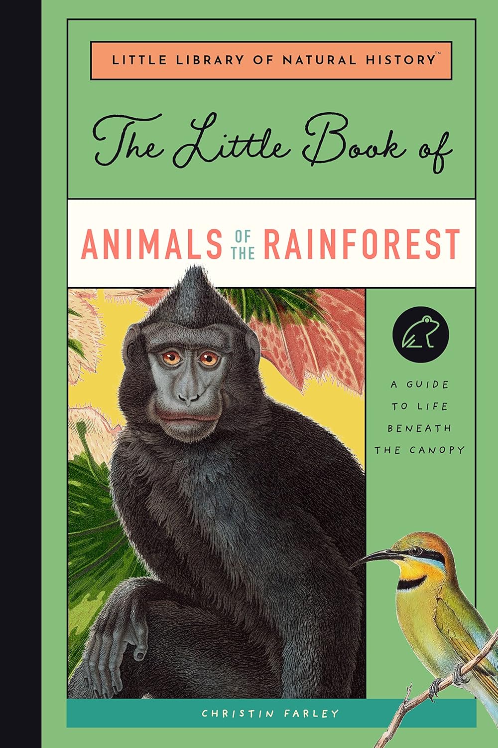 The Little Book of Animals of the rainforest | animals of the rainforest