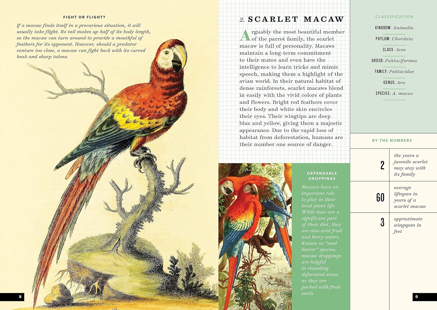 The Little Book of Animals of the rainforest | animals of the rainforest