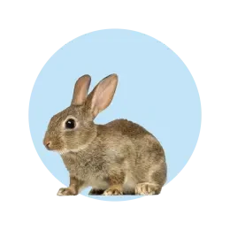 Supplies and Food for Rodents and Small Animals